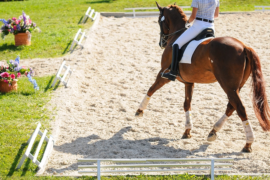 12 High-ROI Barn Ground Stabilization Ways Using BaseCore