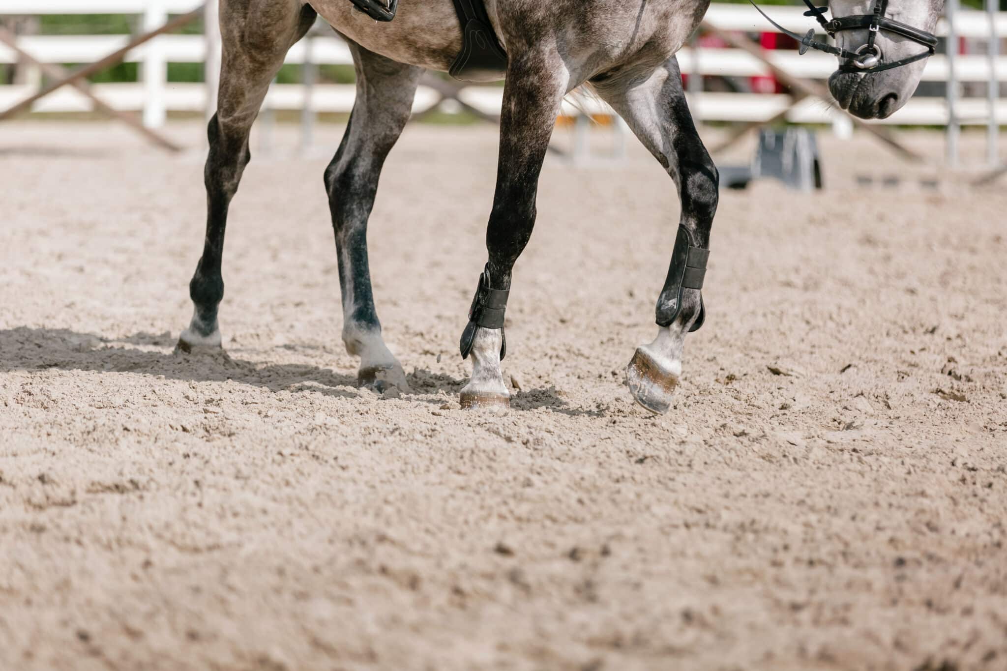 Horse arena construction paths