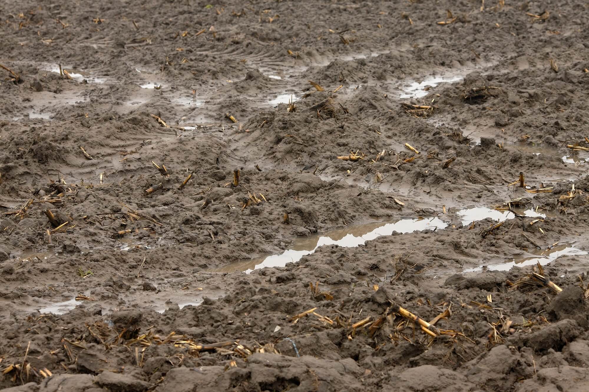 Geo Drainage Solutions for Arenas during Rain | Performance Footing