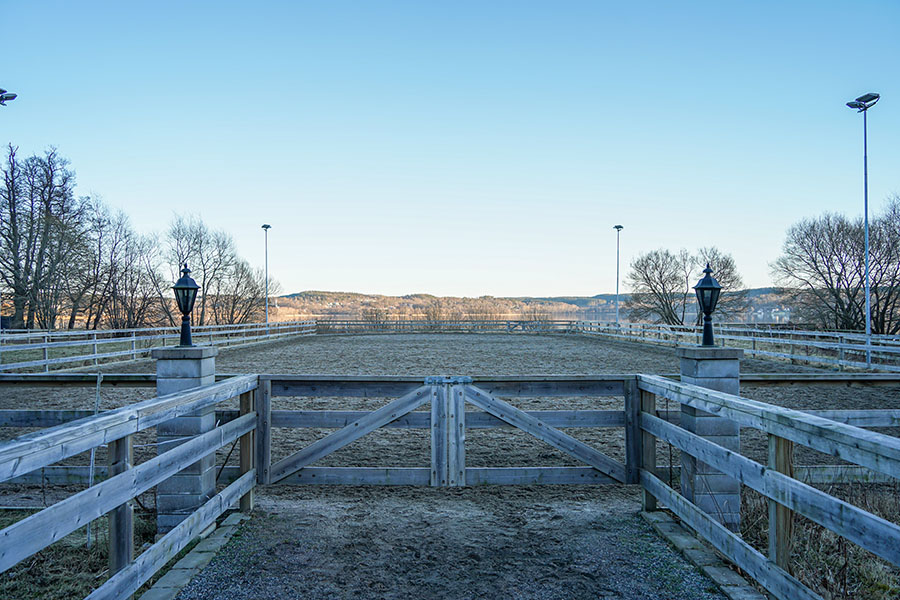 Seasonal Adjustments for Arena Footing | Performance Footing
