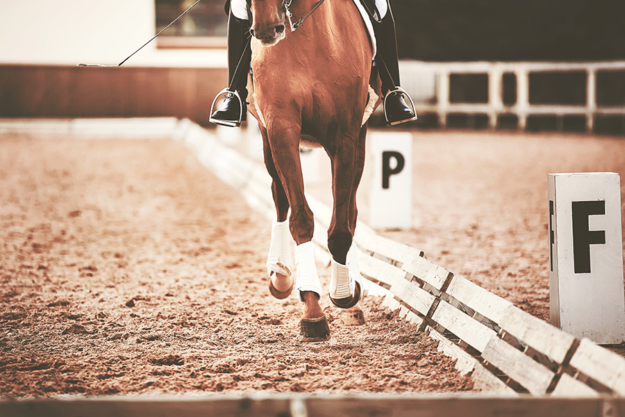 self‑watering horse arena solutions