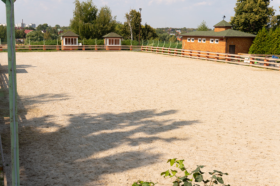 #1 Silica Sand in Arenas for Safe and High-Performance Footing