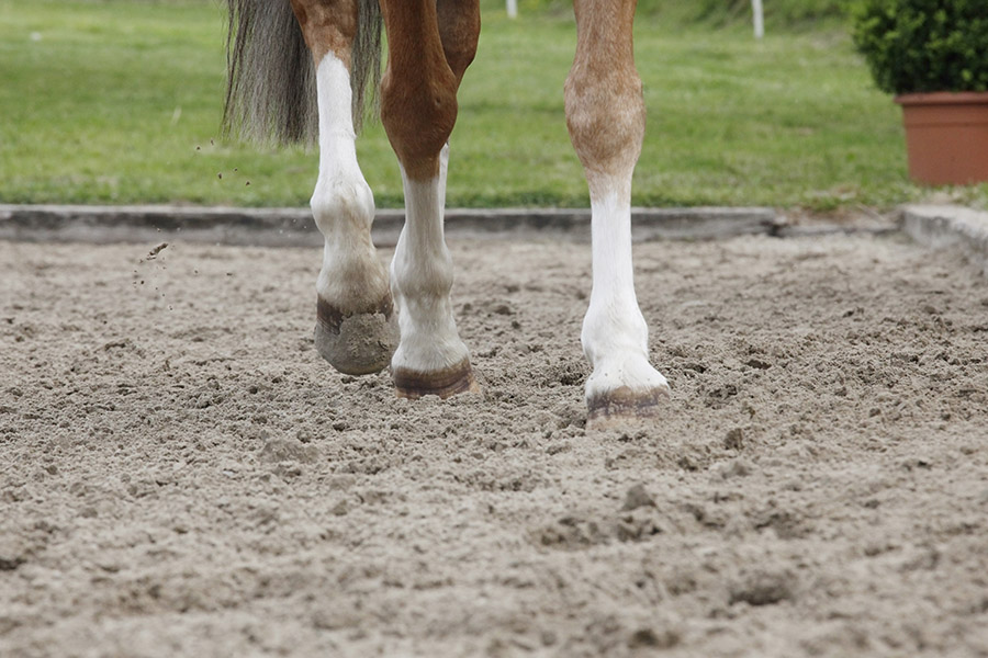 Ultimate Guide to Horse Arena Irrigation Systems | Performance Footing