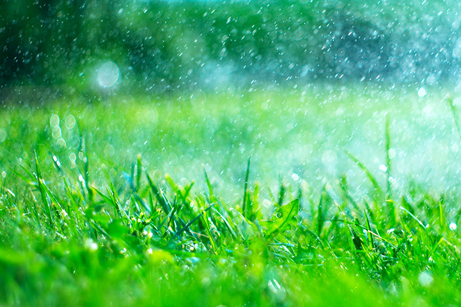 Why Your Arena Needs an Automated Watering System | Arena Irrigation