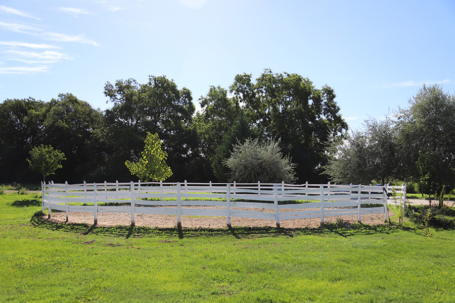 What is the Best Footing for Round Pen | Performance Footing