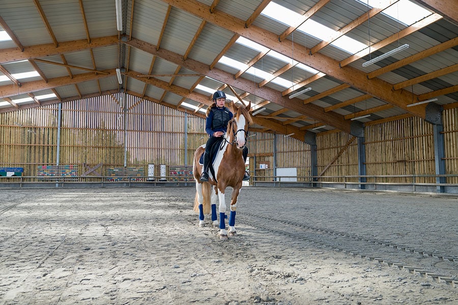 How Big Should the Dressage Arena Size Be? | Arena Footing Experts