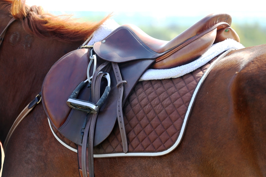 Consider Horse Footing as the Ultimate Dressage Equipment