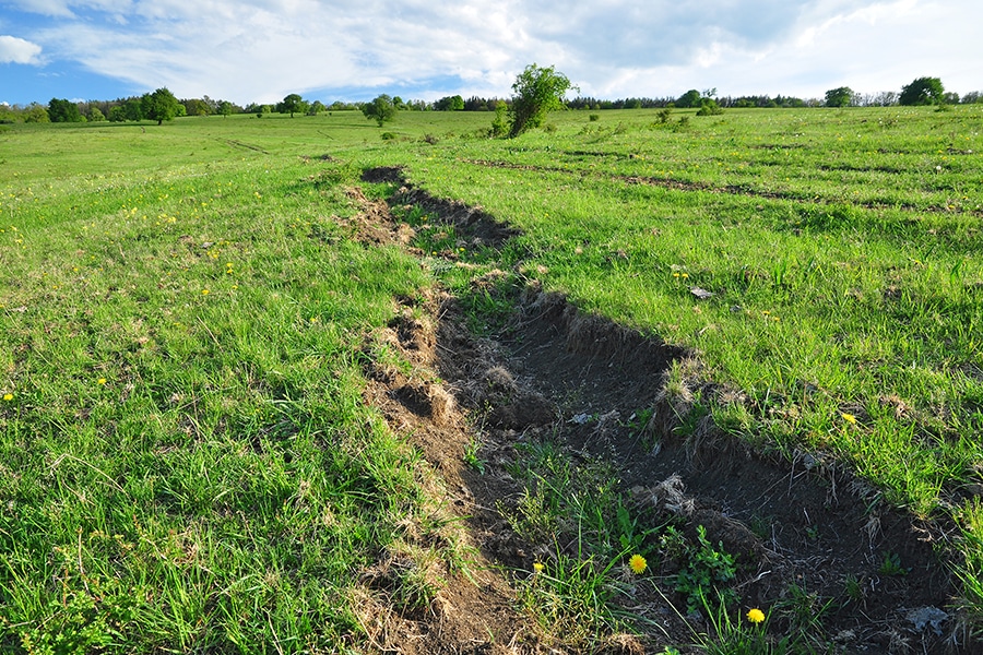 Guide to Erosion Control in Pastures | Performance Footing