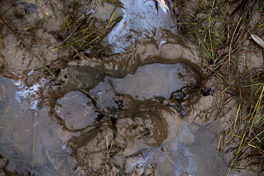 How to Firm Up Muddy Ground with Geocell | Performance Footing