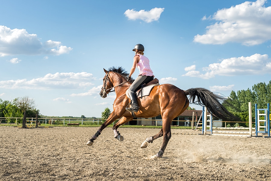 Horse Arena Drainage System | Performance Footing