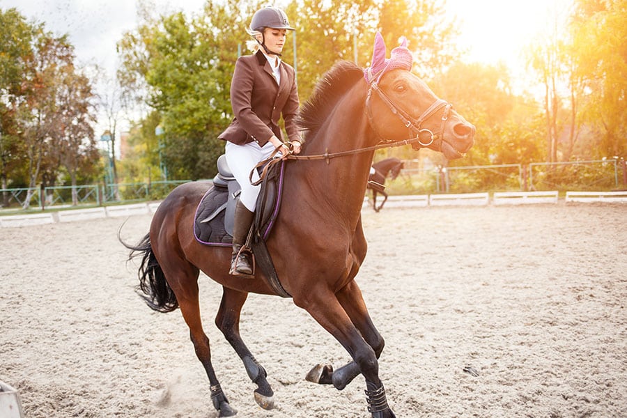 Understanding Horse Arena Footing Elements | Performance Footing