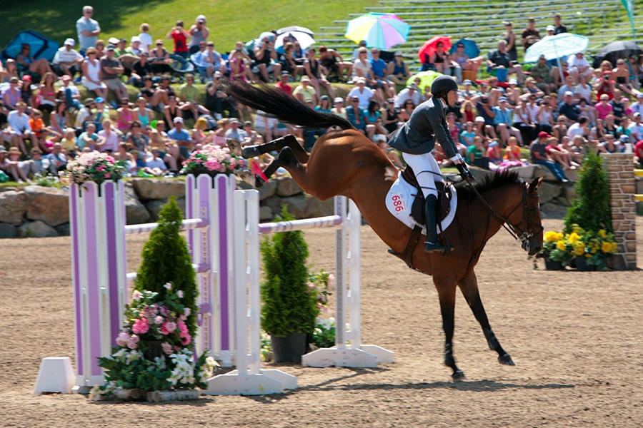 How to Cool Down a Horse After Riding | Performance Footing