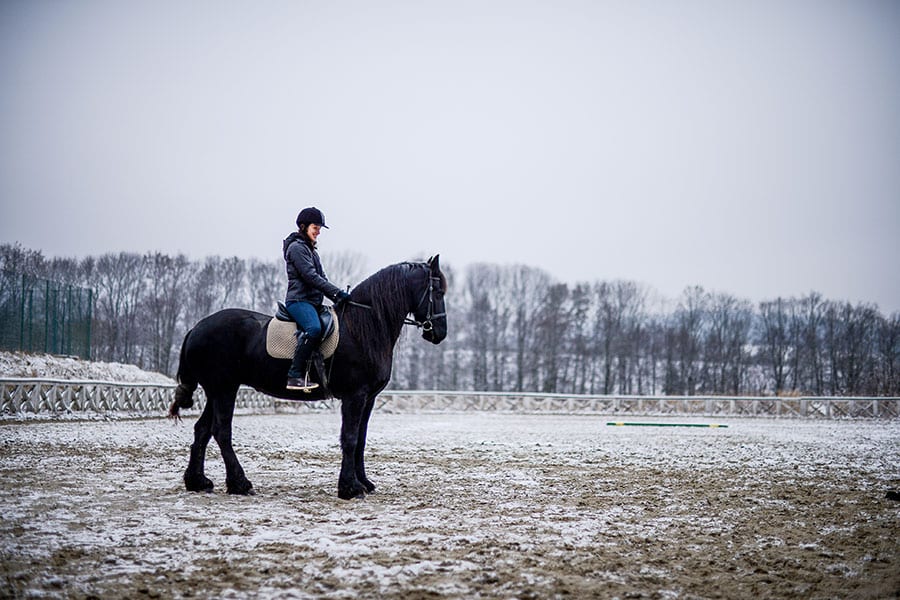How to Keep Outdoor Arena from Freezing | Performance Footing