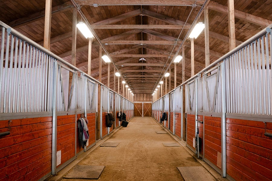 How to Start Horse Boarding Service | Performance Footing