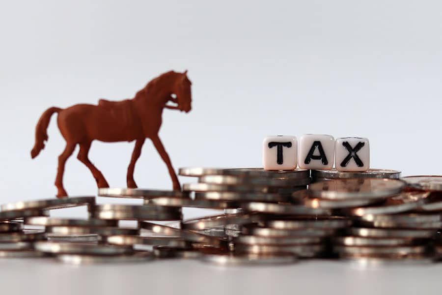 Tax Benefits Horse Ownership | Horse Arena Footing
