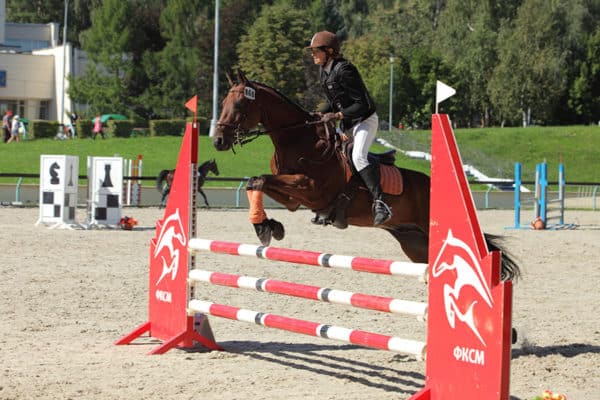 Best Arena Footing for Jumping in Horse Show | Performance Footing