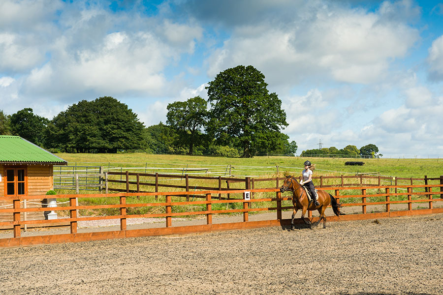 Stabilizing Your Paddock with Geocell - Featured Image