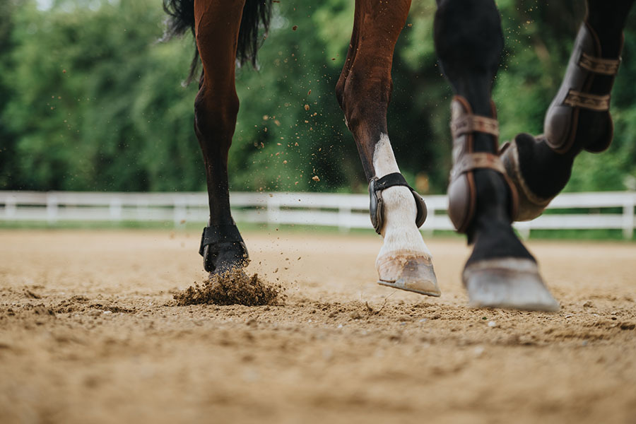 importance of quality horse arena footing