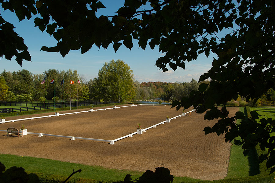 DIY vs. Professional Arena Footing Installation: What You Need to Know - Featured Image