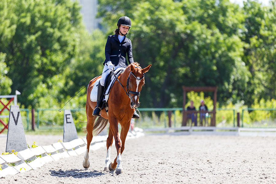 Footing Options for Dressage: What Makes a Quality Dressage Arena Surface - Featured Image