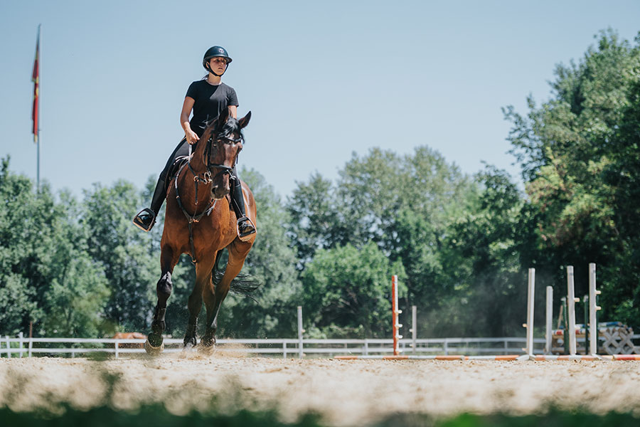 Maximizing Arena Footing Longevity: Practical Tips for Durable Performance - Featured Image