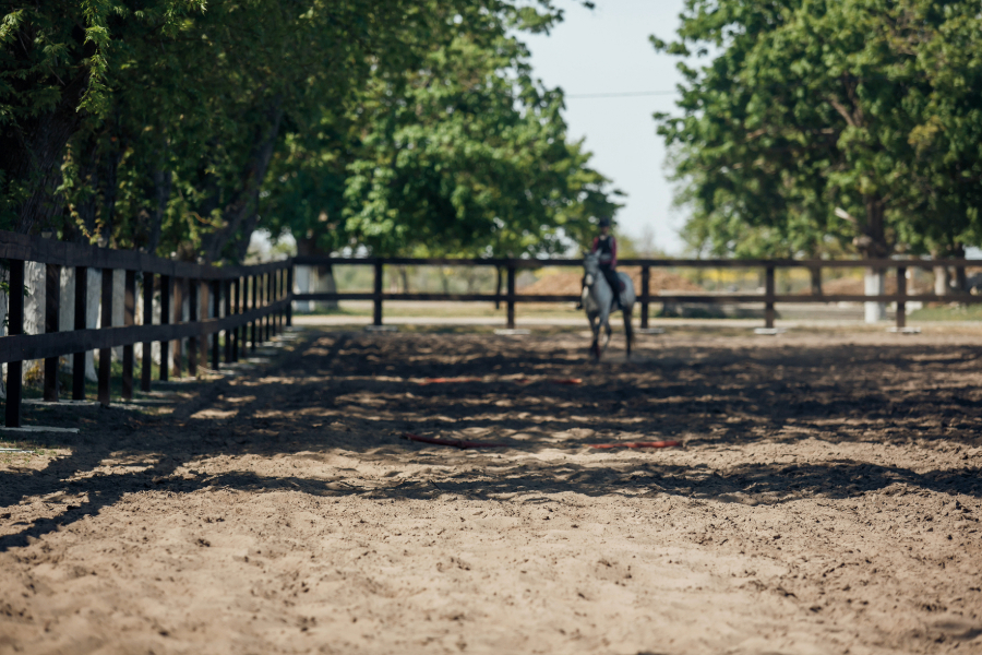 Eco-Friendly Arena Footing Materials: Sustainable Solutions for Horse Arenas - Featured Image