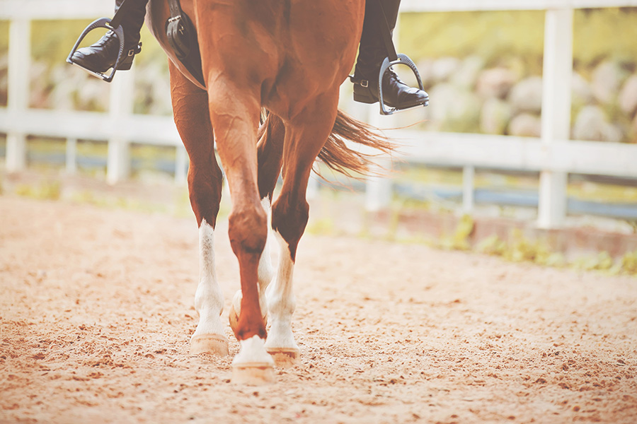 Best Footing for Outdoor Arenas: A Complete Guide - Featured Image